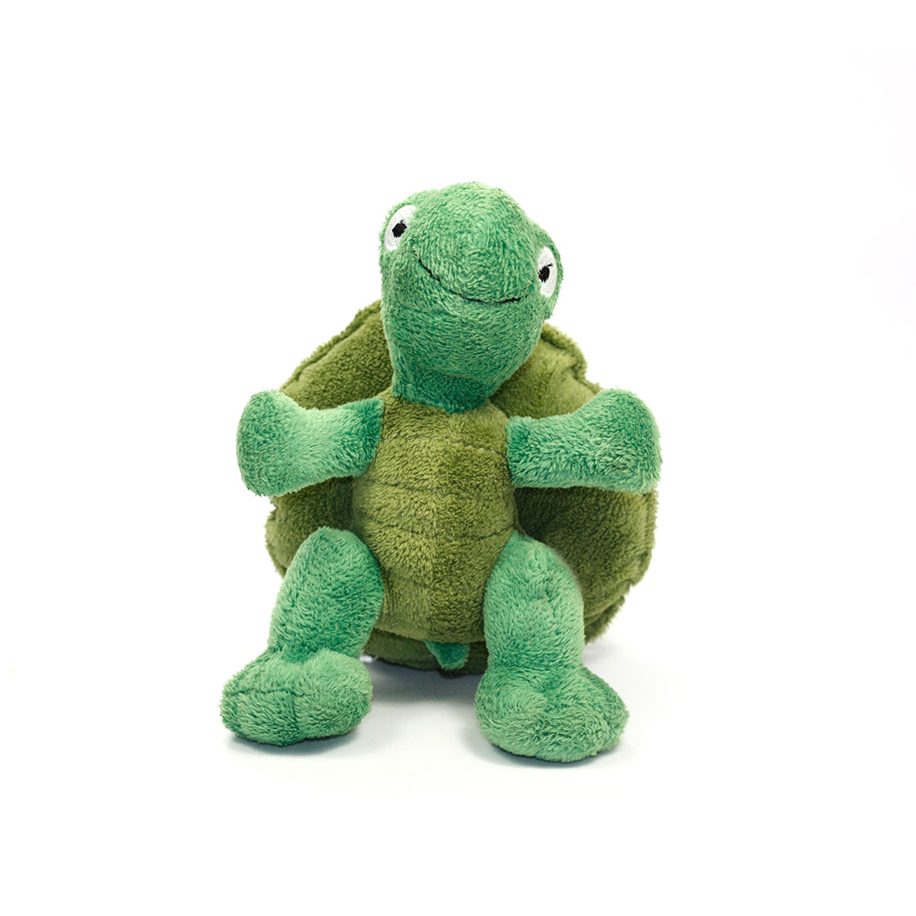 Stuffed Turtle for adopt a turtle